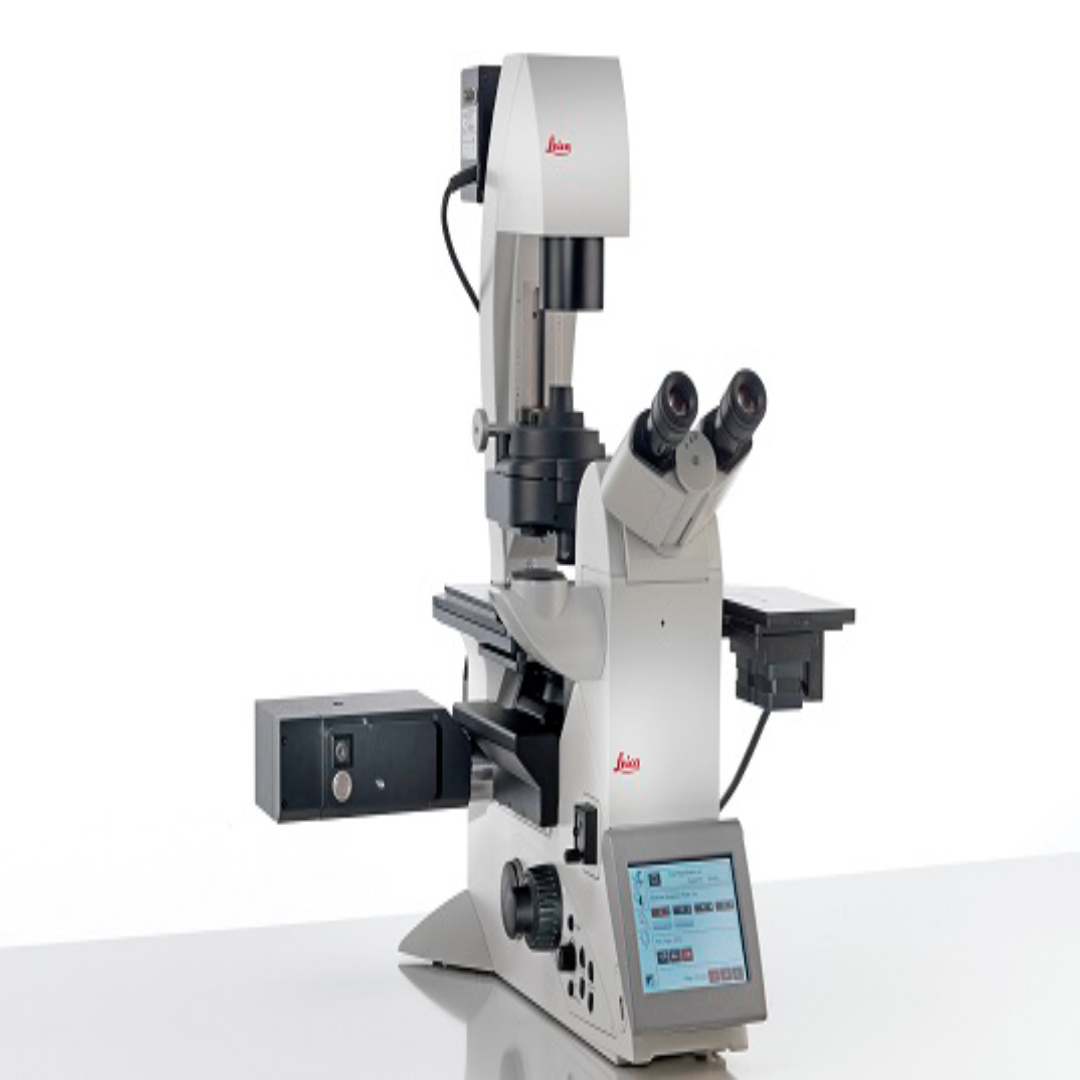 Widefield Fluorescence Microscopes For Imaging Studies