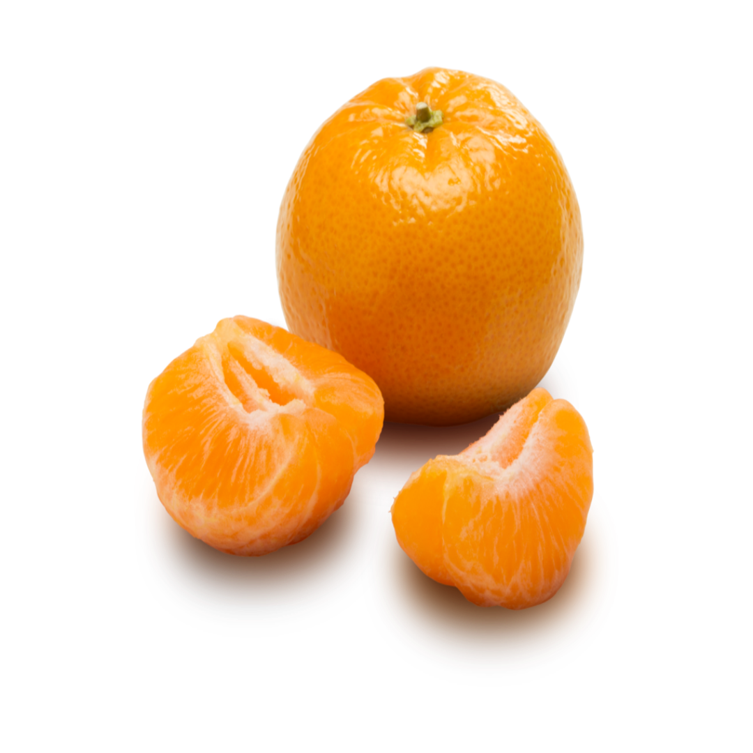 Mandarin Oranges for International Export Markets Trade