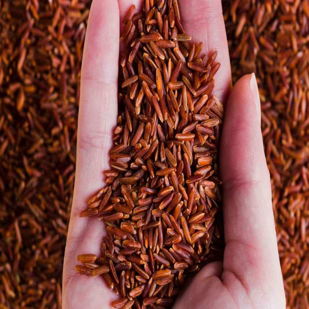 Red Rice Wholesale For Healthy Grain Choice