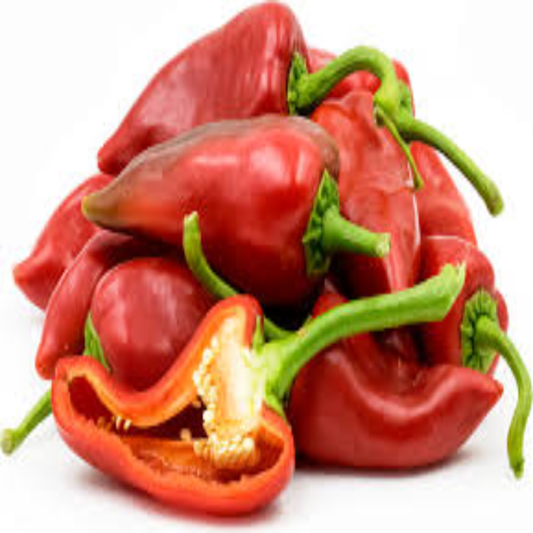 Piquillo Chili Supplier For Mild Sweet Pepper