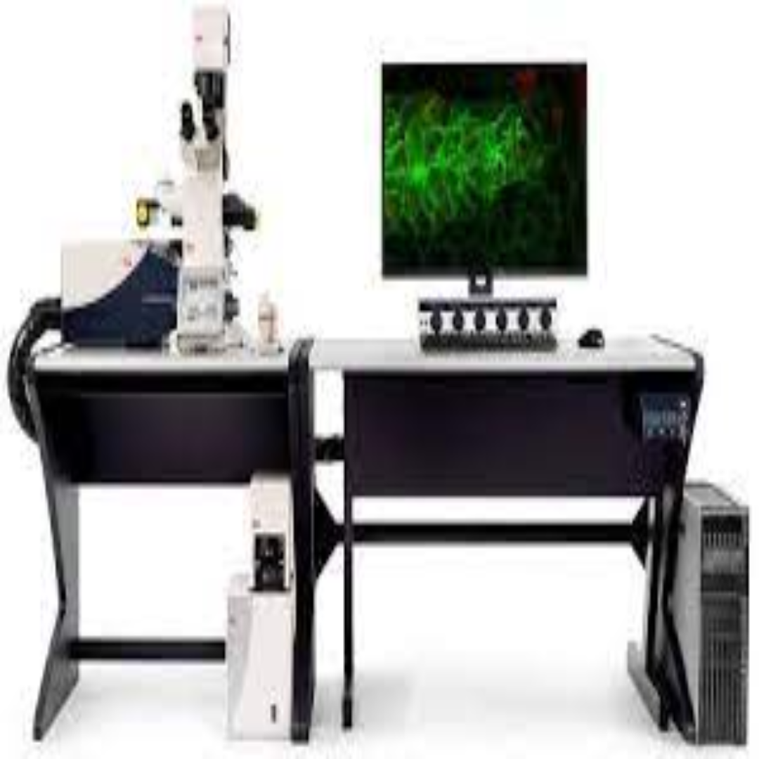 Laser Scanning Confocal Microscopes For Cell Imaging
