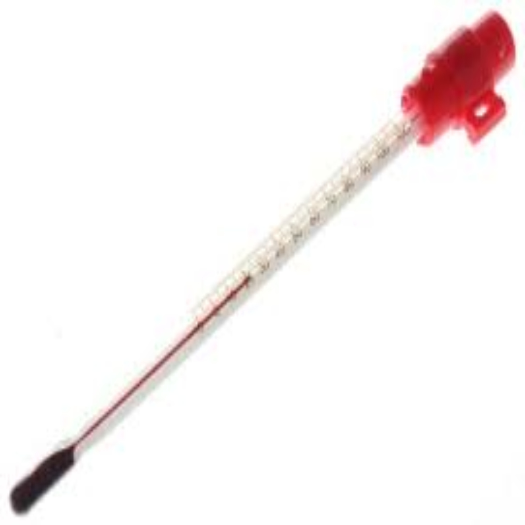 Buy Glass Thermometers For Home And Lab Use