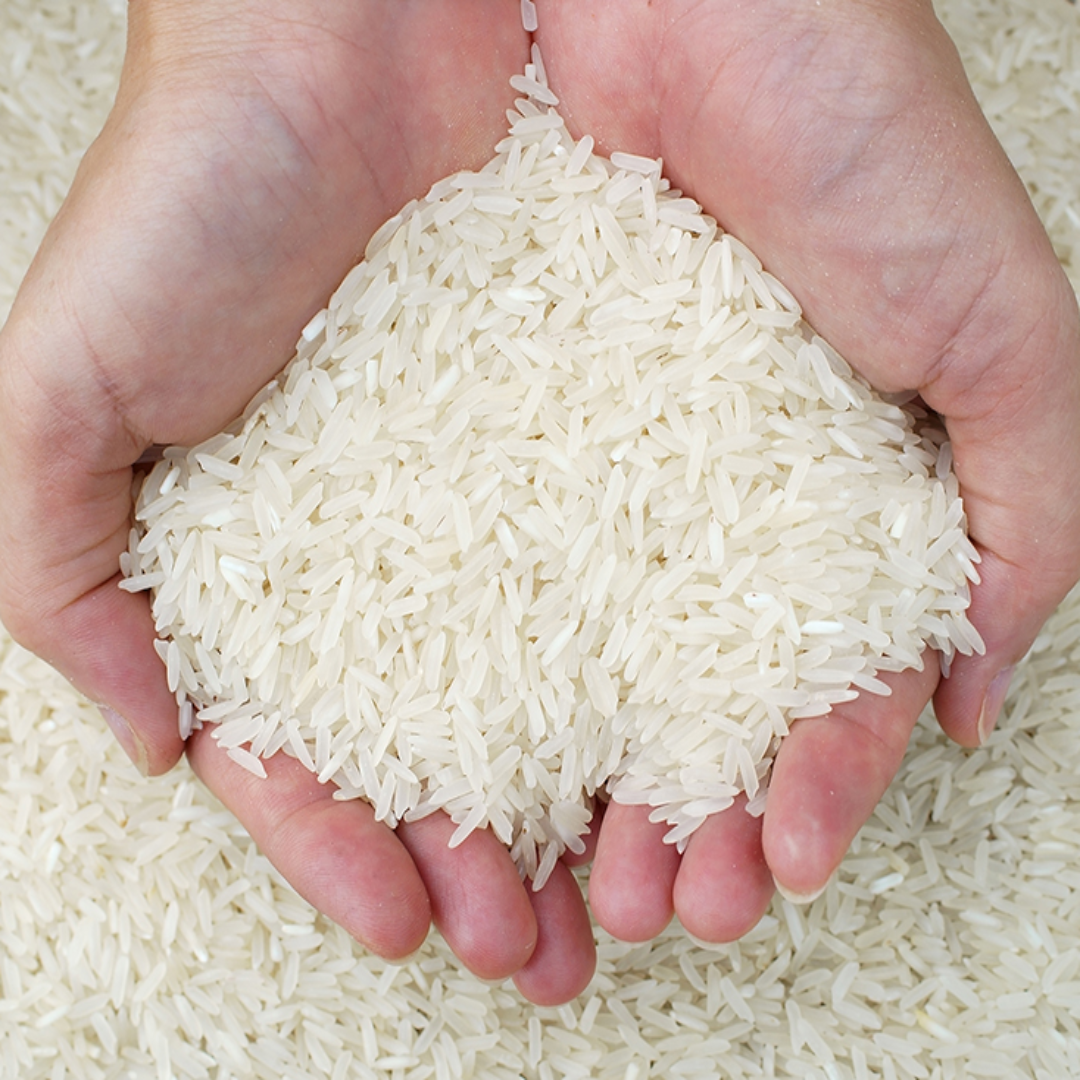 Thai Pathumthanee Rice (Hom Pathum)