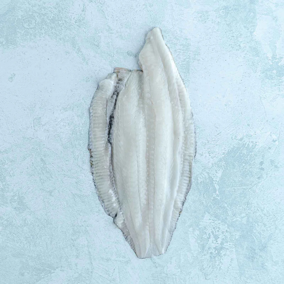 Lemon Sole Fillets Wild Atlantic Fresh Fish UK