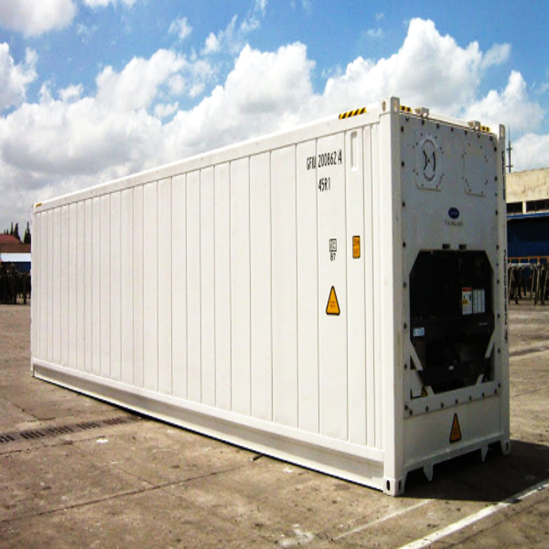 40 Feet Refrigerated Containers Storage Vietnam Seller