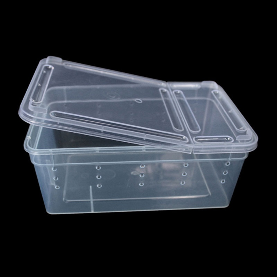Reusable Plastic Containers Food Storage Vietnam