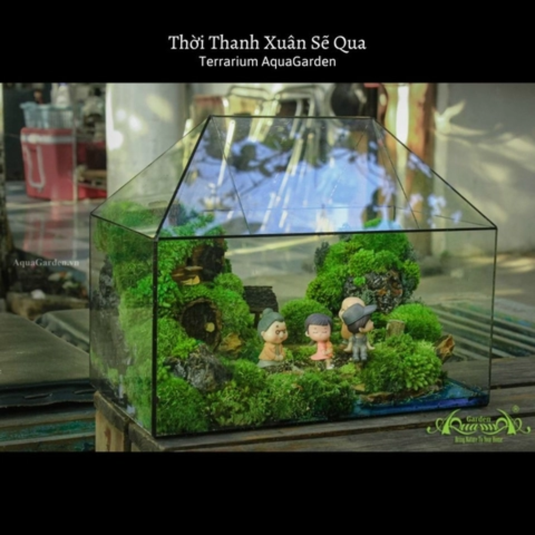 28-Liter Terrarium For Reptiles And Plants