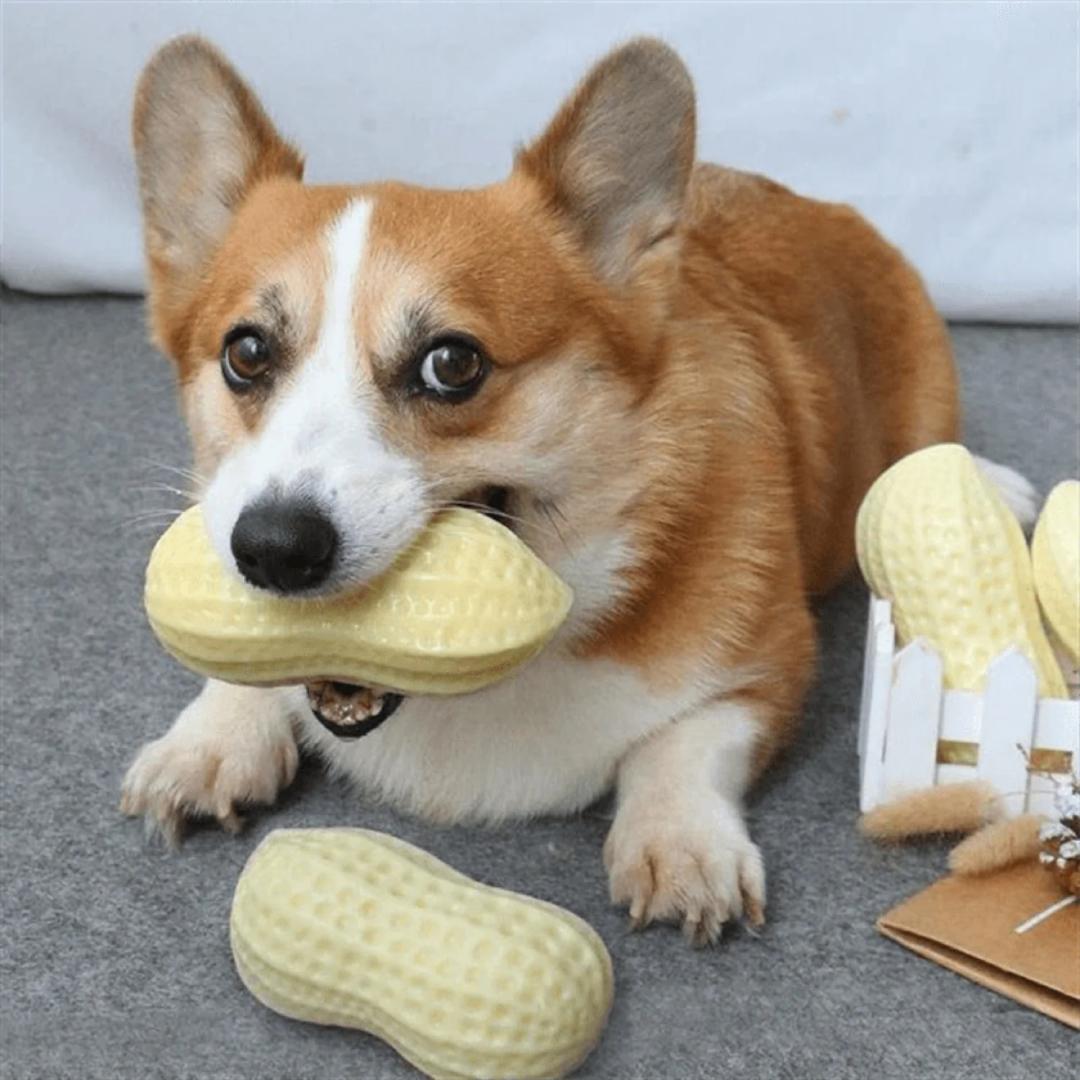 Peanut Sound Chew Toy For Dogs