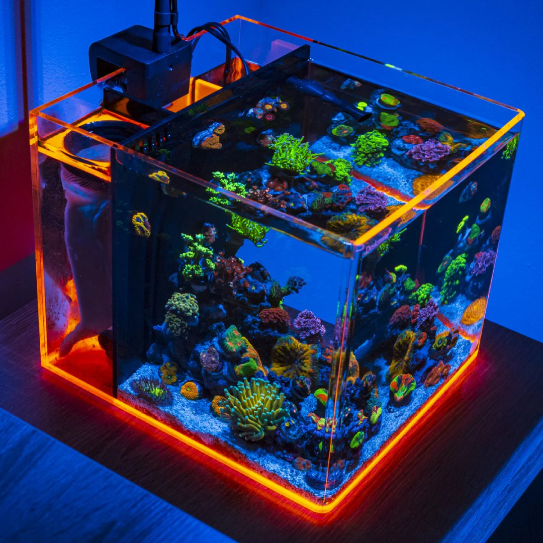 Eshopps Deskmate 3.8 Gallon Nano Tank