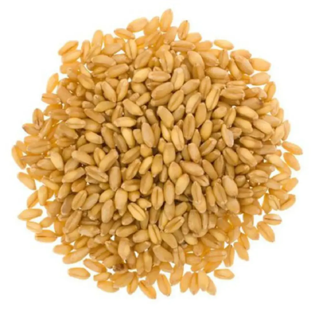 Wheat Grains Filter Machine – Efficient Cleaning for Grains 