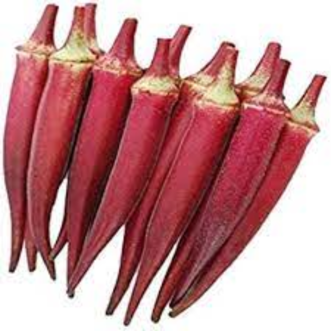 Red Short Okra for Vibrant Color and Unique Flavor