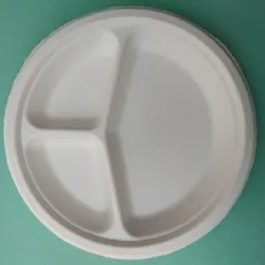Biodegradable Bagasse Square Plate
