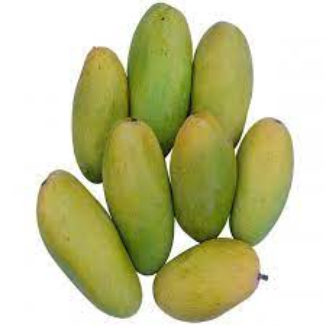 Dasheri Mangoes for Classic Sweetness and Seasonal Trade