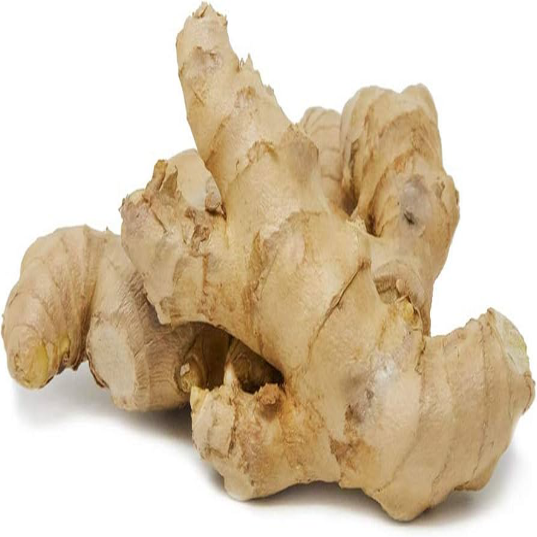 Premium Common Ginger for Daily Cooking and Health