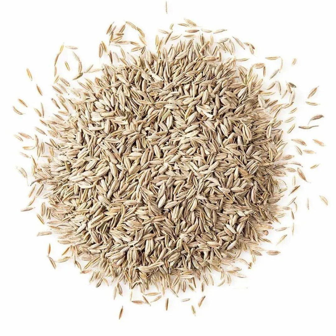White Cumin Wholesale For Pure Mild Taste