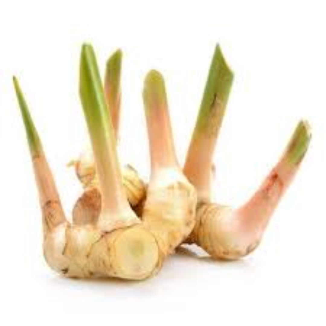 Kangaroo Original Men Cow Leather Slip On Shoes Coffee Brown