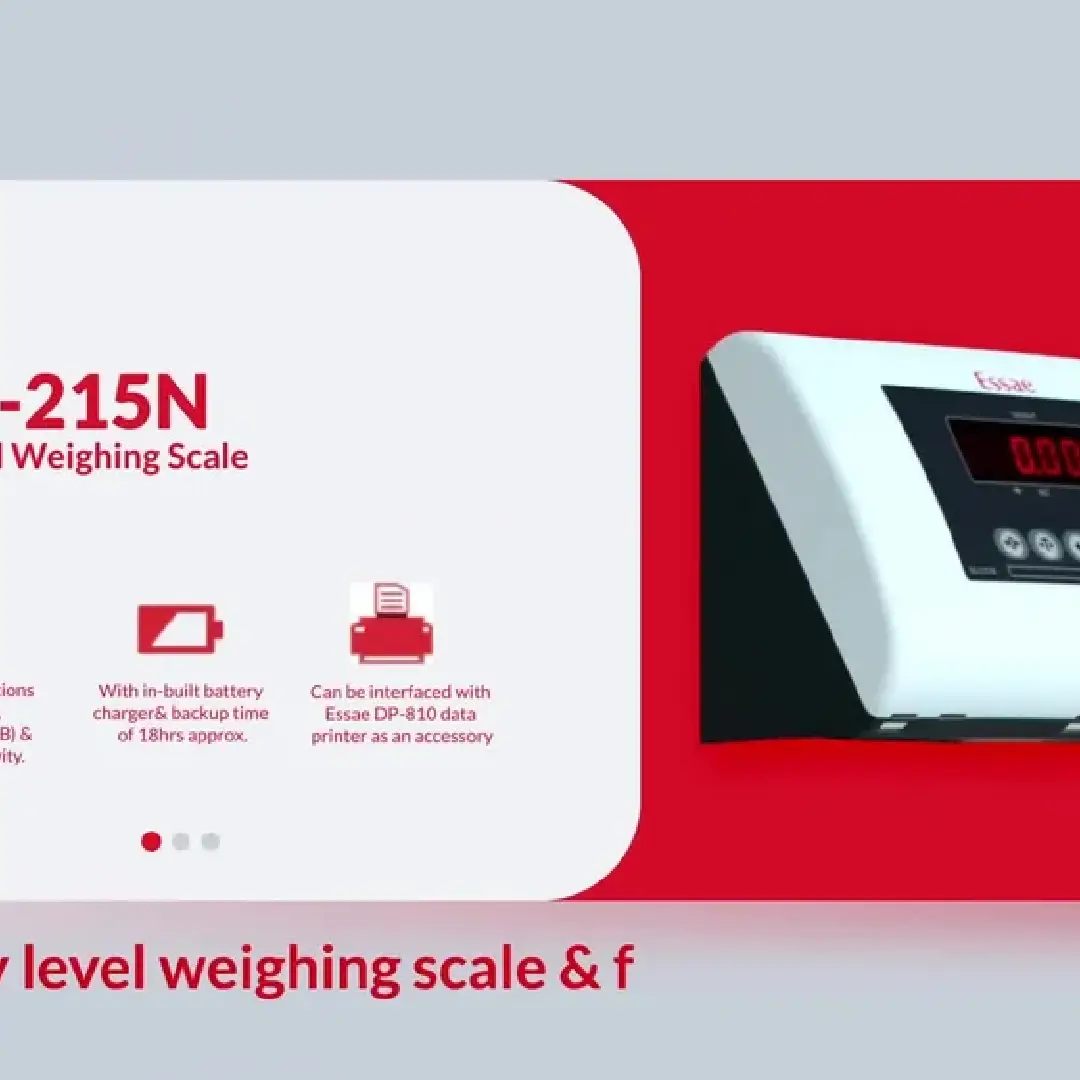 High-Precision Essay DS-215HD Digital Weighing Scale for Accuracy