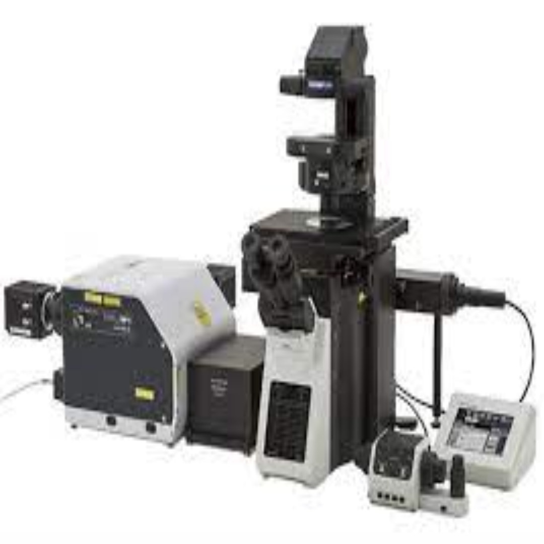 Spinning Disk Confocal Microscope for Rapid Imaging