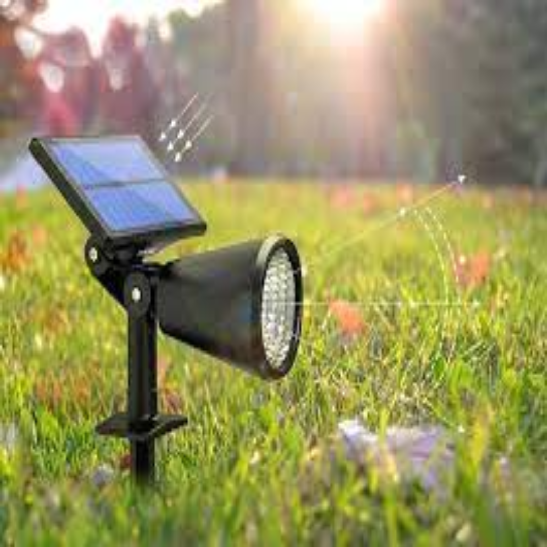 Bright Solar Spotlights Enhance Landscaping Areas