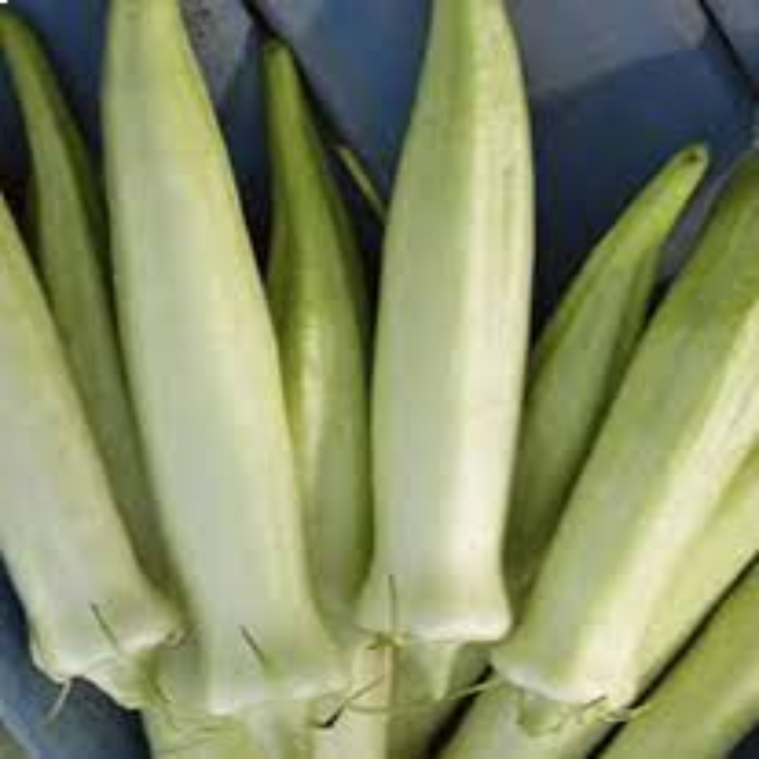 White Lady Finger Okra for Smooth Texture and Fresh Taste