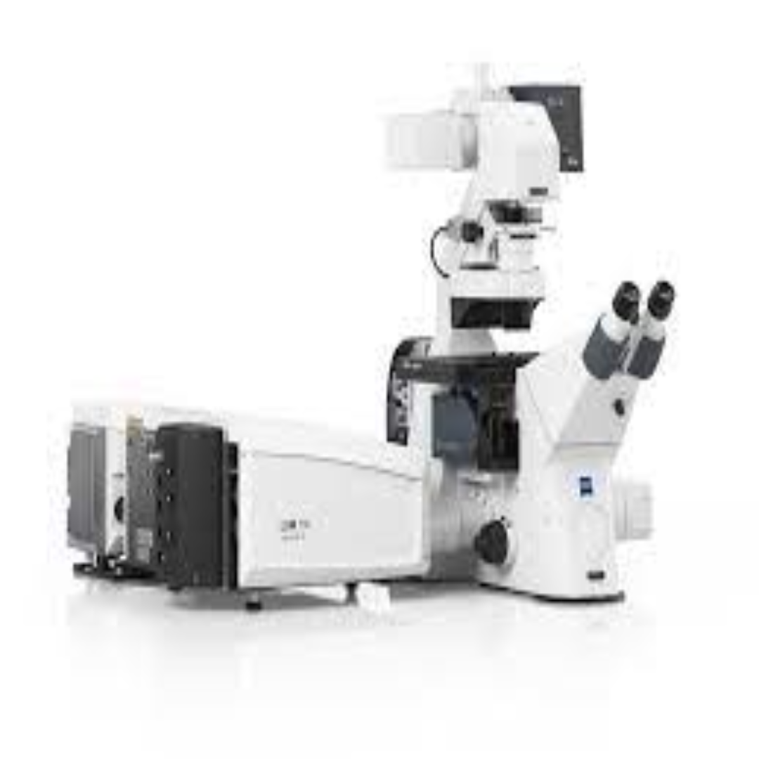 Confocal Microscopes For Live Cell Imaging