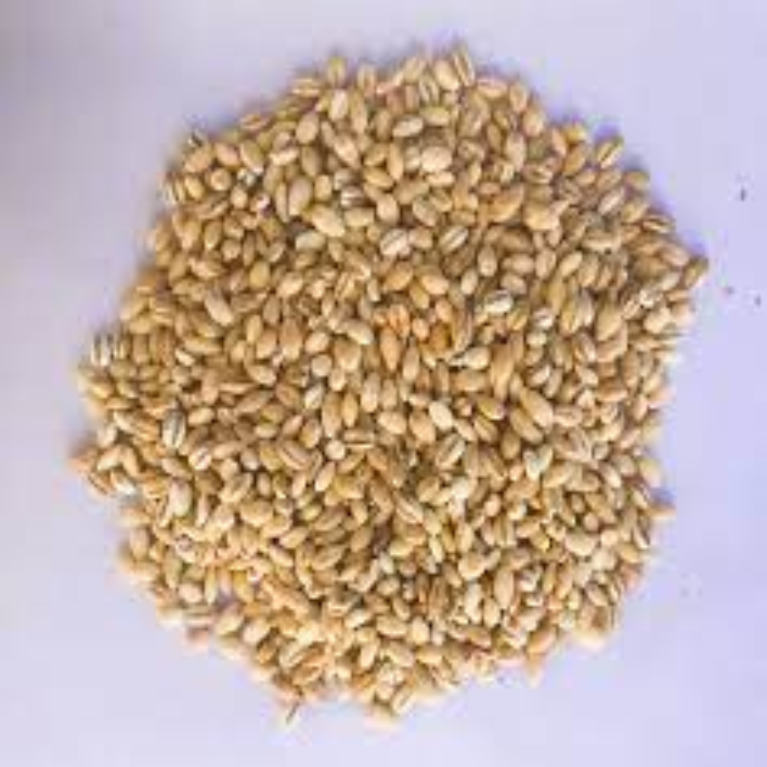 Refined Barley Products