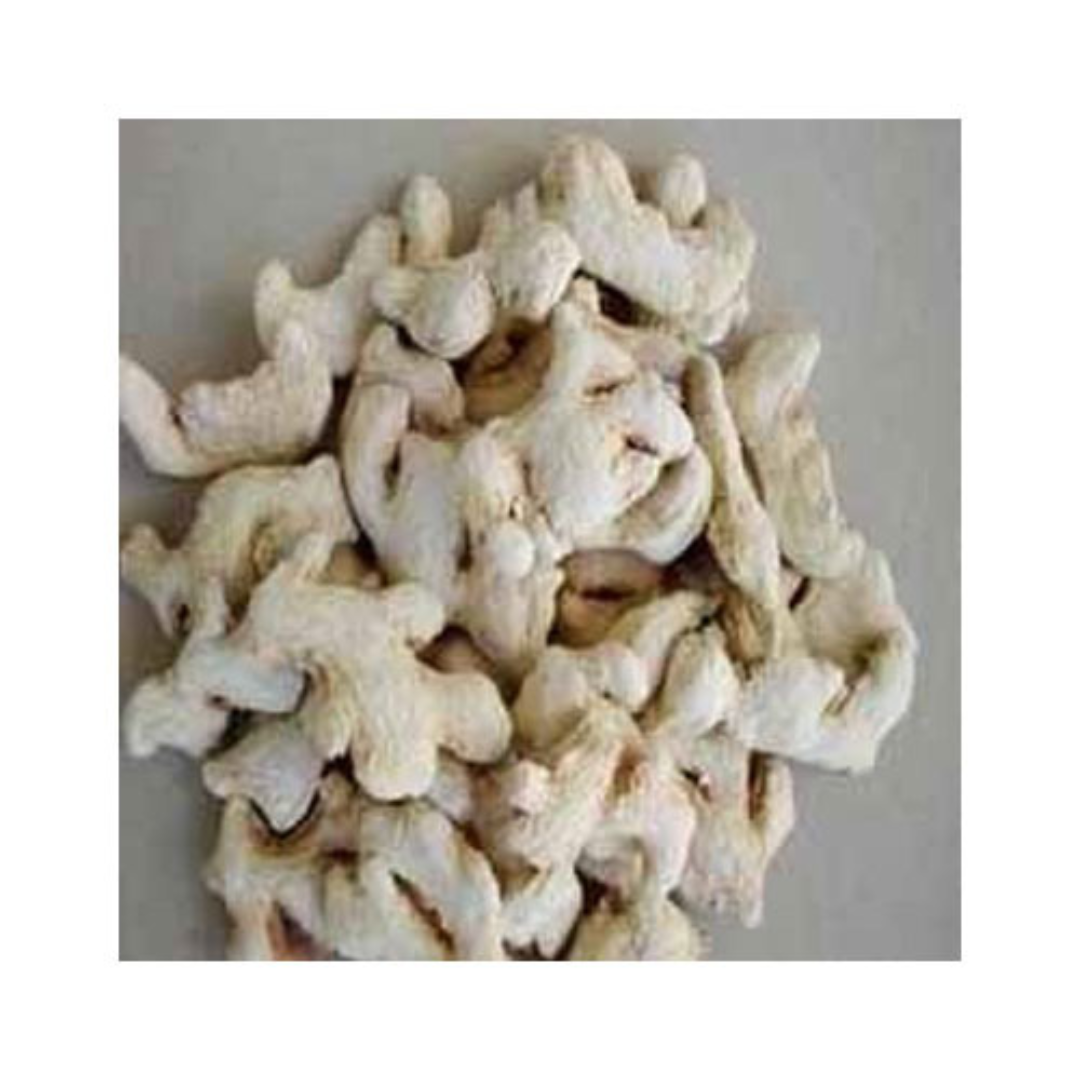 Fresh Ginger Root