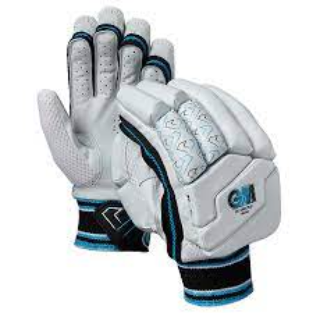 Premium Leather Cricket Gloves For Players