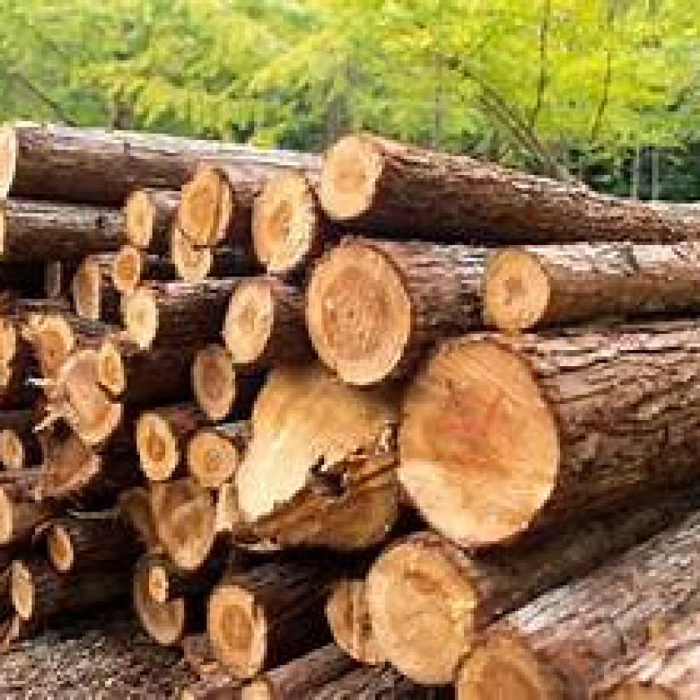 Wood and Timber