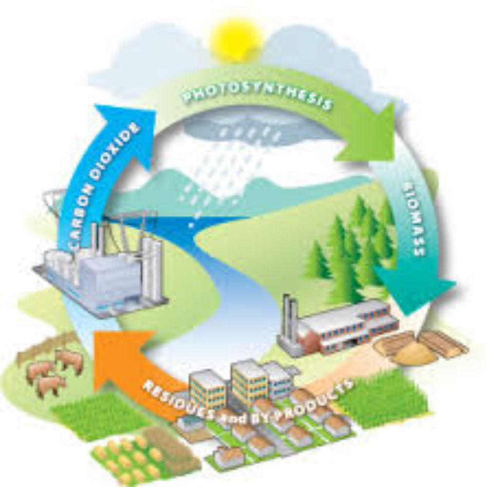 Biomass and Bioenergy Products