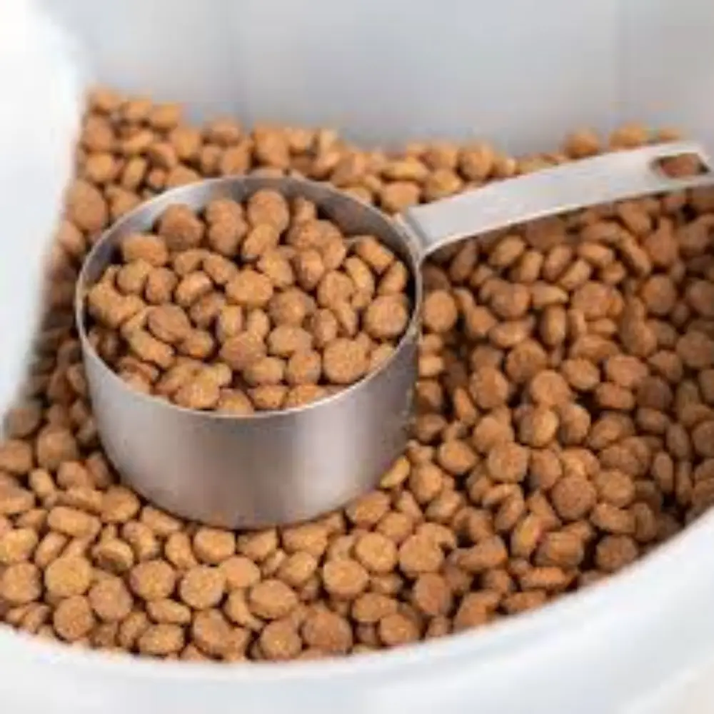 Dog Food