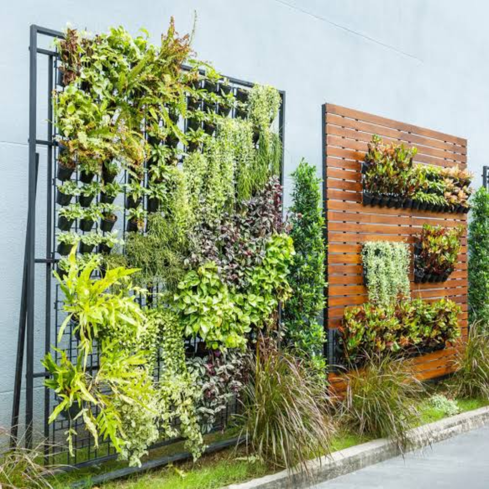 Green Walls And Vertical Gardens