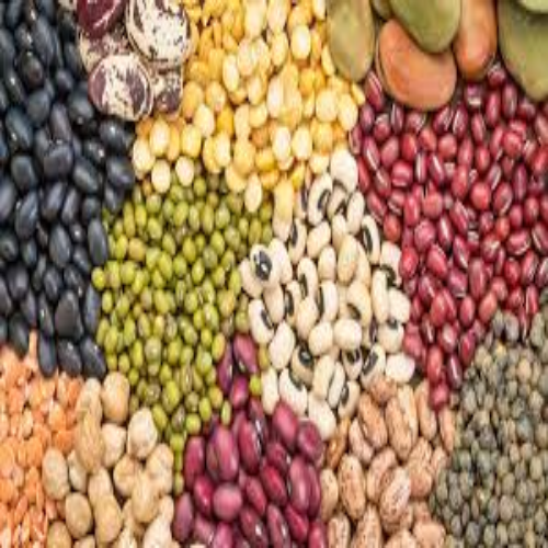 Beans Varieties