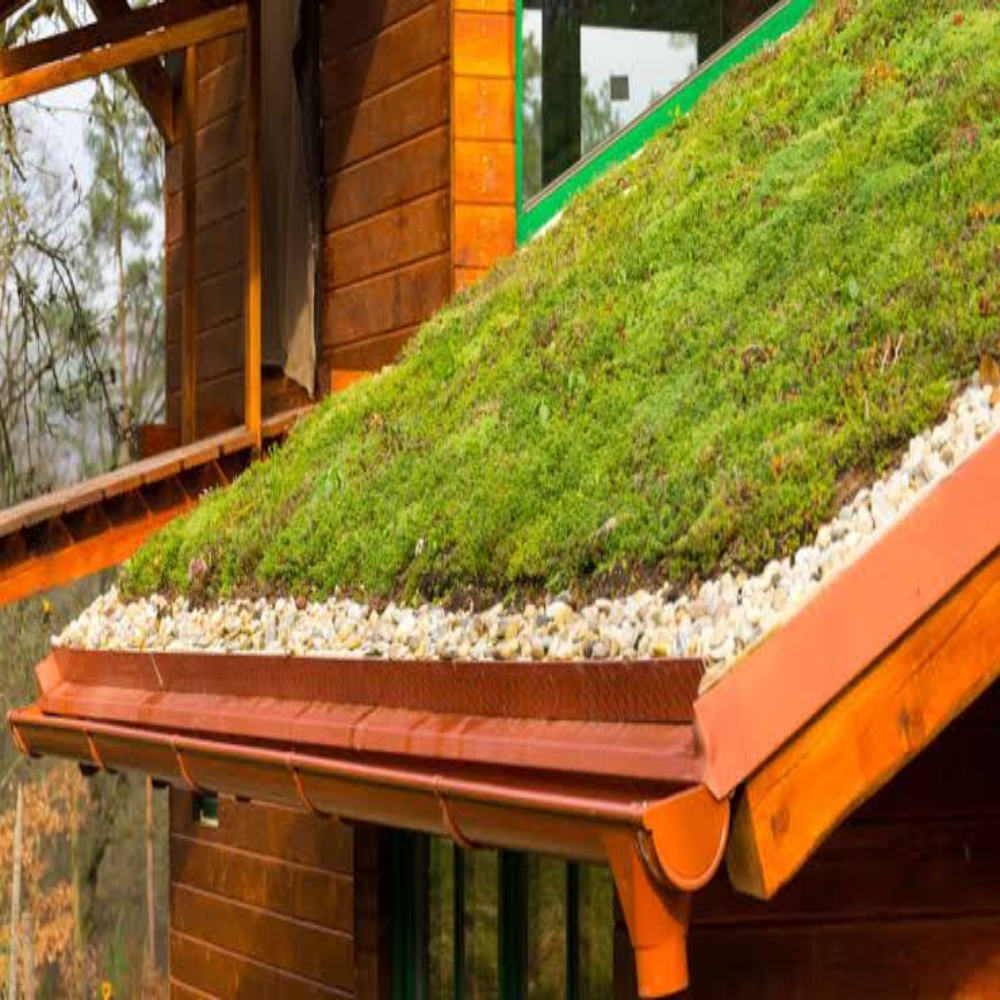 Green Insulation