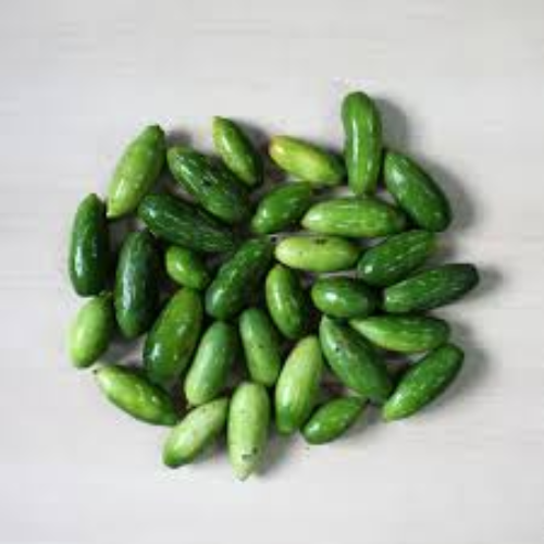 Tindli