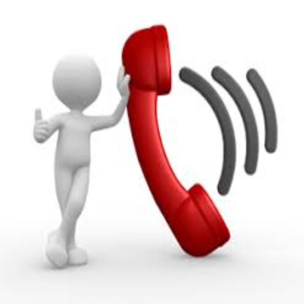 Voice Services