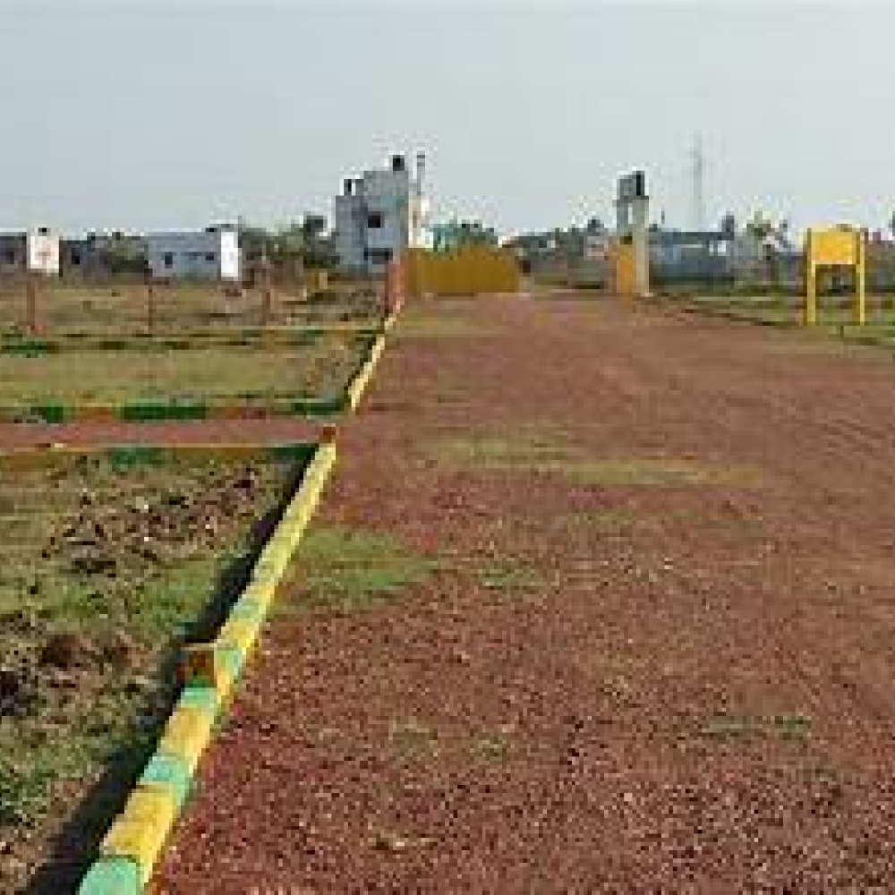 Land and Plots