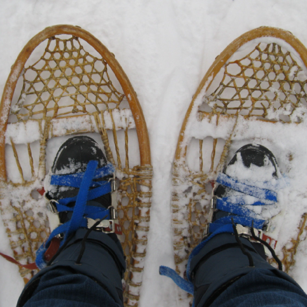 Showshoes