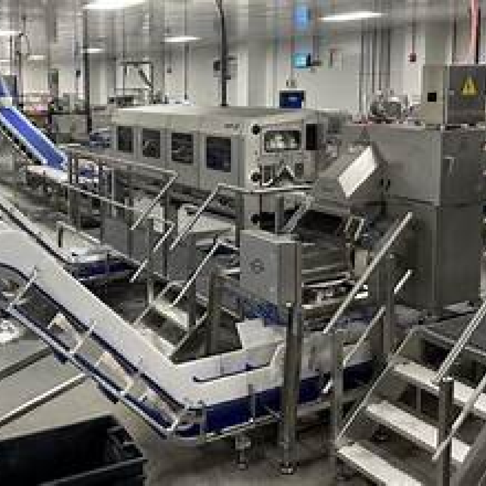 Food Processing Machinery