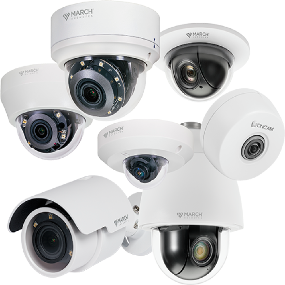 IP Cameras